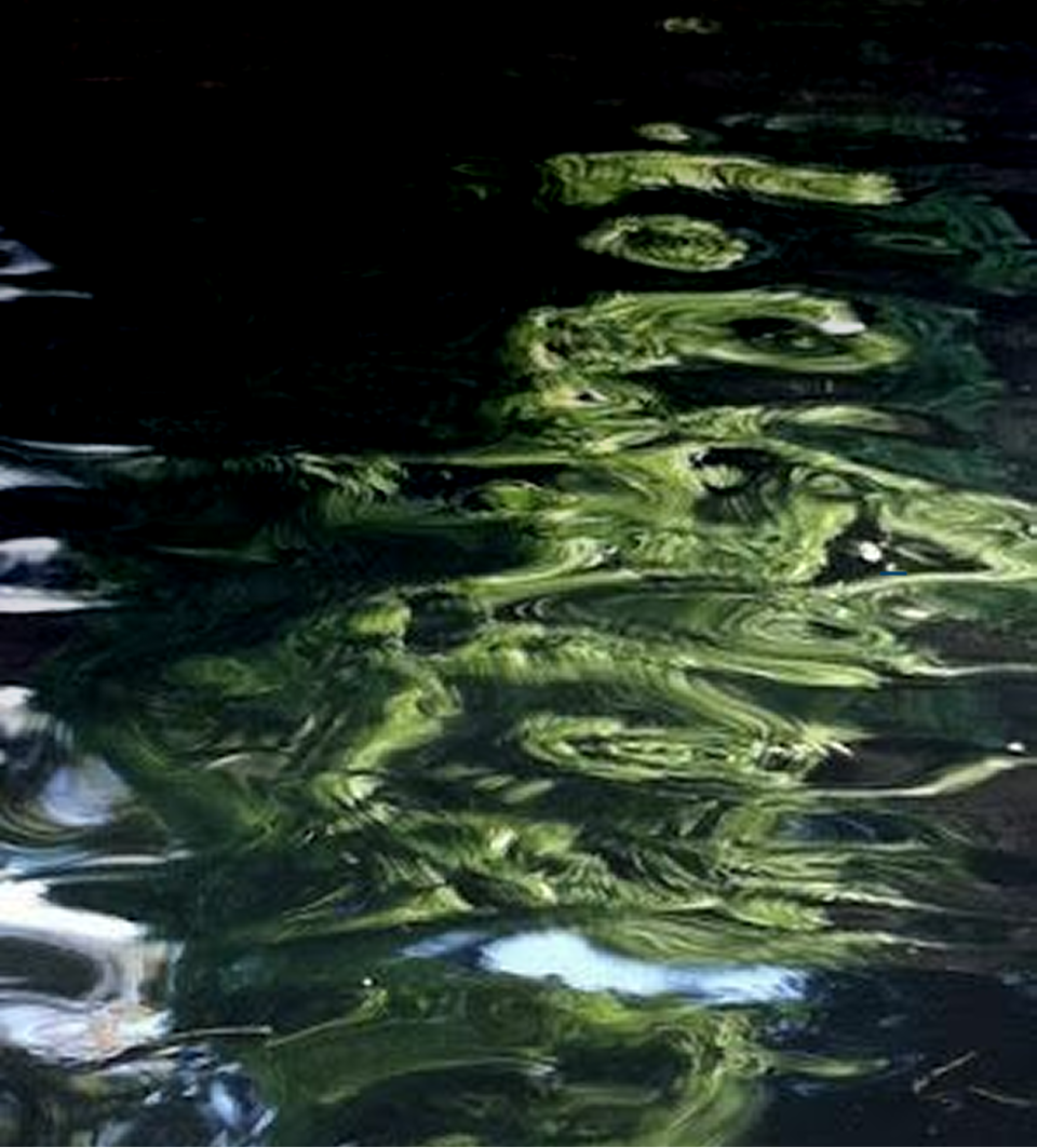 Liquid I.V. — Développement durable et impact environnemental positif